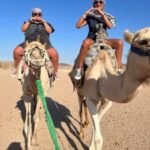 56f549dd 58d3 401d a06c 1fd03ae8dae8