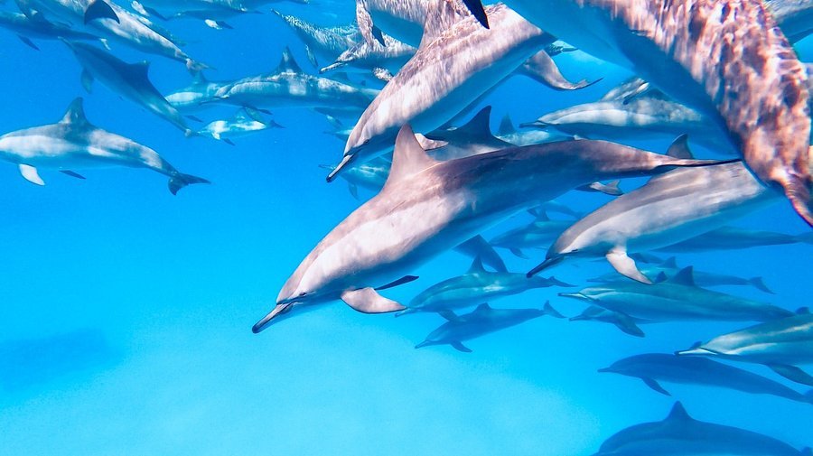 Home Sataya Magnifique